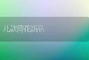 几款荷花新品
