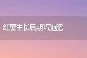 无土盆栽郁金香要做哪些准备工作