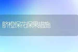 脐橙保花保果措施