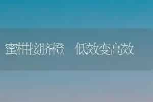 蜜柑接脐橙　低效变高效