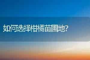 桂花可以用种子出苗吗，技术难度大吗？
