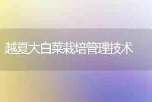 越夏大白菜栽培管理技术