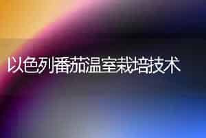 以色列番茄温室栽培技术