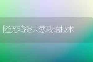 隆尧鸡腿大葱栽培技术
