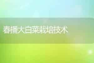 春播大白菜栽培技术