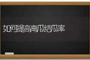 青花菜多部位采收栽培技术