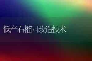 脐橙园春夏季田间管理要点（一）