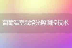 盆栽桂花不开花的原因及对策