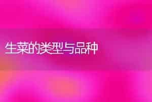 生菜的类型与品种