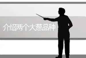 介绍两个大葱品种