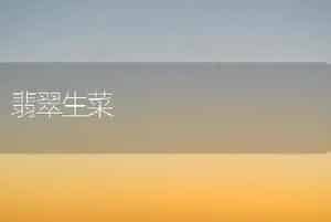 翡翠生菜