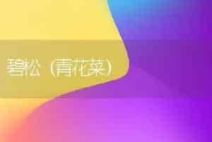 碧松（青花菜）