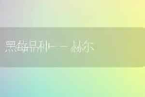 黑木耳露地袋栽技术