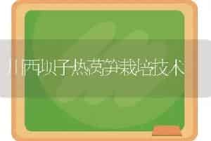 脐橙果实采后商品化处理技术