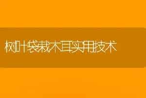 树叶袋栽木耳实用技术