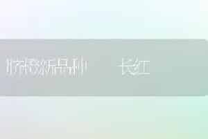 脐橙新品种――长红