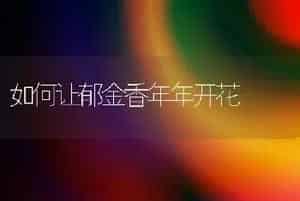如何让郁金香年年开花