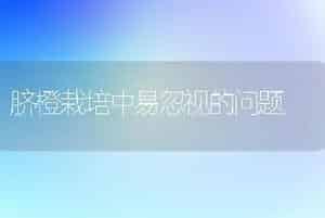 脐橙栽培中易忽视的问题