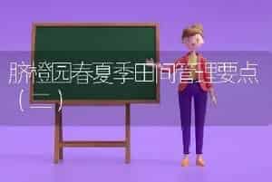 脐橙园春夏季田间管理要点（二）