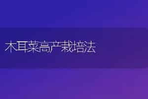 木耳菜高产栽培法