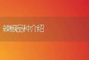 大葱反季节高产栽培技术（中）