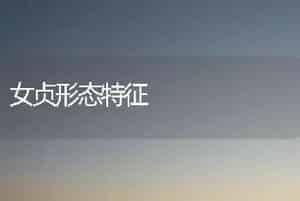 女贞形态特征