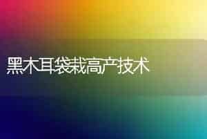 黑木耳袋栽高产技术