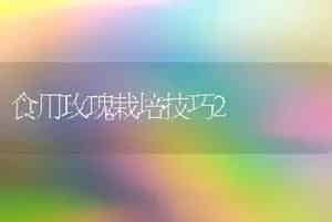 食用玫瑰栽培技巧2