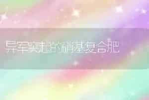 生菜制种的高产栽培技术