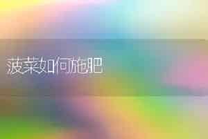 番茄大王栽培要点