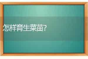 怎样育生菜苗？