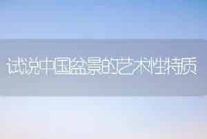 试说中国盆景的艺术性特质