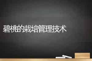 碧桃的栽培管理技术