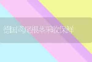 德国鸢尾根茎采收保鲜