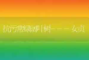 抗污常绿阔叶树---女贞