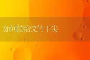 盆栽桂花促花多