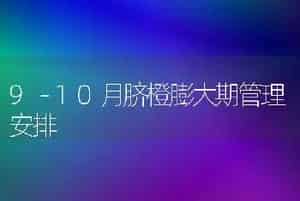 9－10月脐橙膨大期管理安排