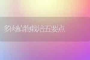 多肉植物栽培五要点