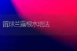 昙花一年多次开花技术