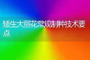 矮生大丽花常规制种技术要点