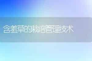 含羞草的栽培管理技术