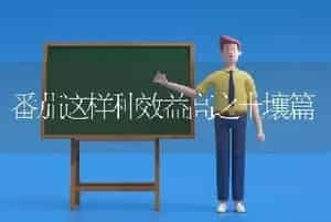 番茄这样种效益高之土壤篇