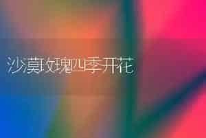 沙漠玫瑰四季开花