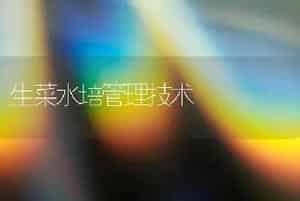 生菜水培管理技术