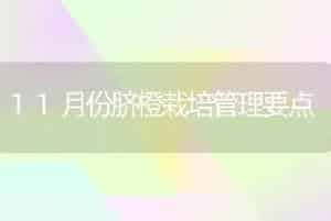 11月份脐橙栽培管理要点