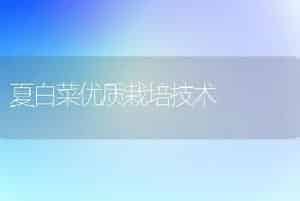 夏白菜优质栽培技术