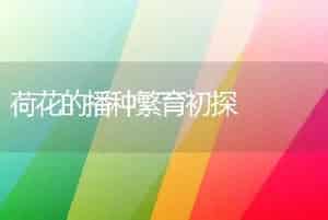 荷花的播种繁育初探