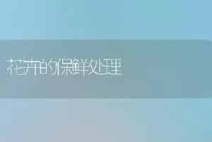 大丽花复壮法