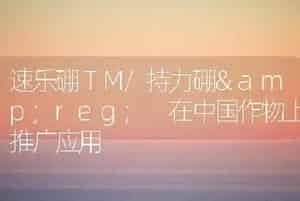 速乐硼ＴＭ/持力硼&reg; 在中国作物上推广应用