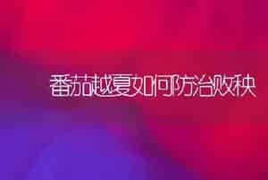   番茄越夏如何防治败秧